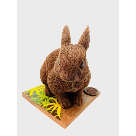Lapin bélier