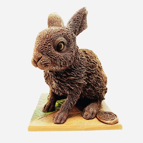 Gros lapin