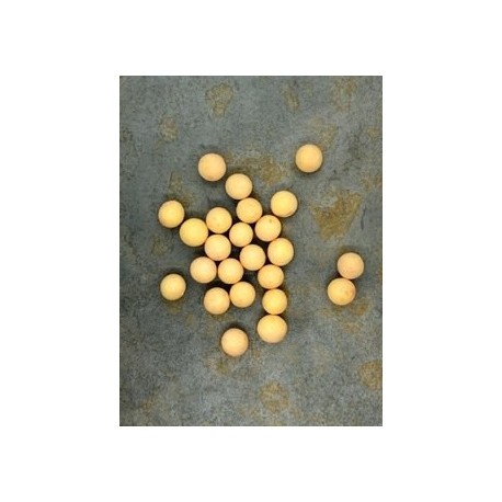 Truffe lait